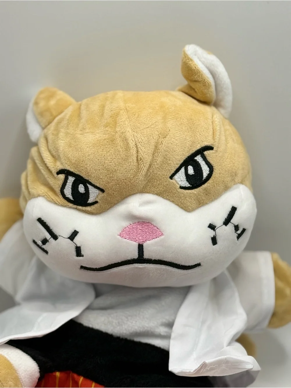 interactive karate cat hand puppet toy with protective arm sleeve.